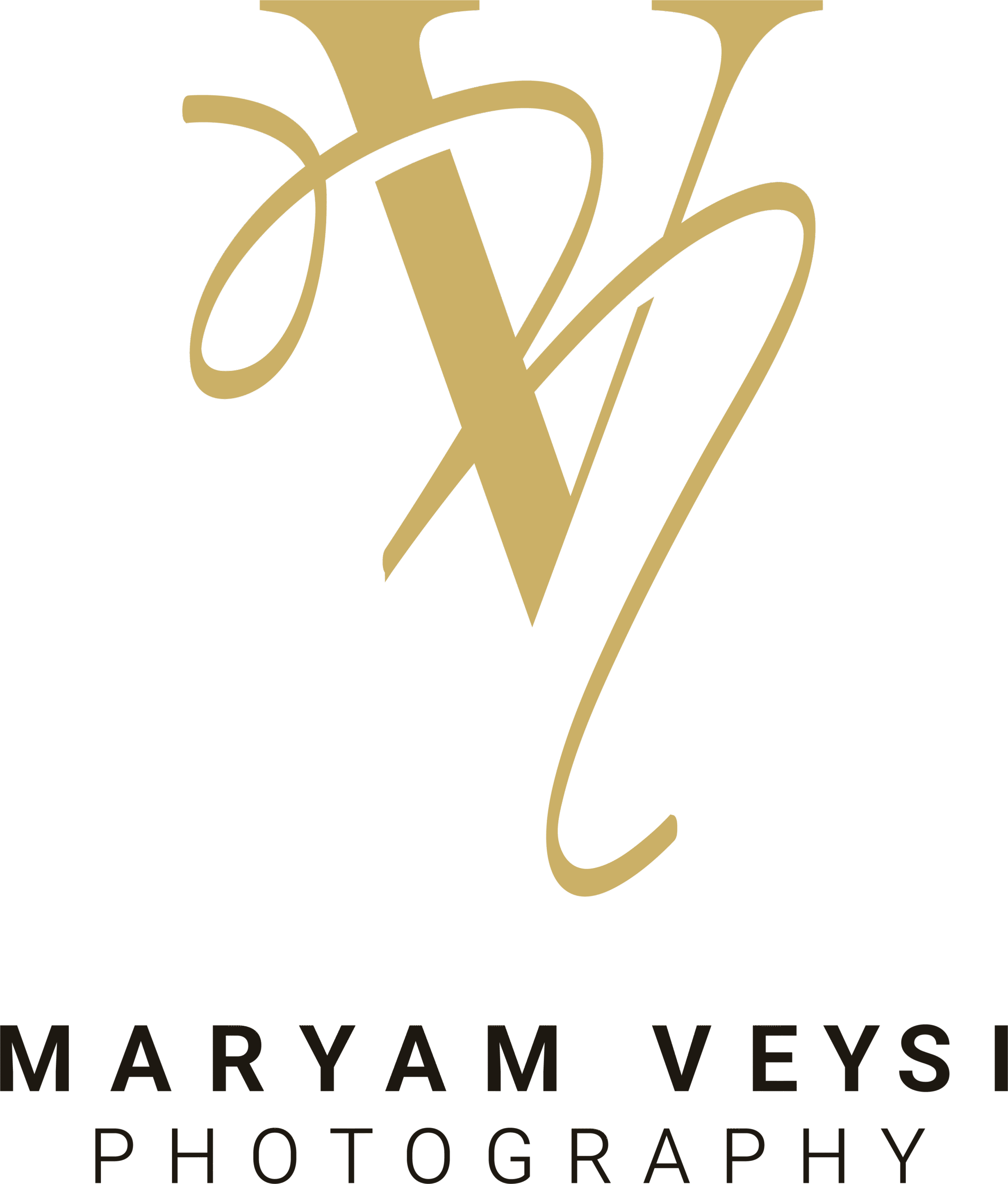 Maryam Veysi Photography